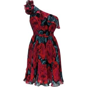 Arden B Red Floral One Shoulder Pleated‎ Skirt Fit and Flare Dress